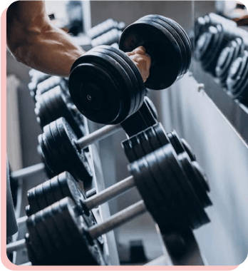 Workout Diaries 14